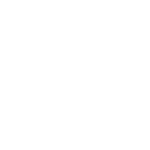 ant icon