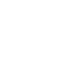 wildtlife bat icon