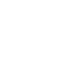 bedbug bed bug icon