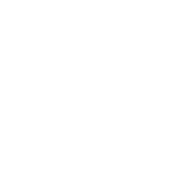 fly flies icon
