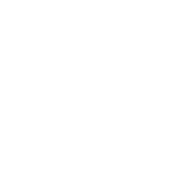 spider icon